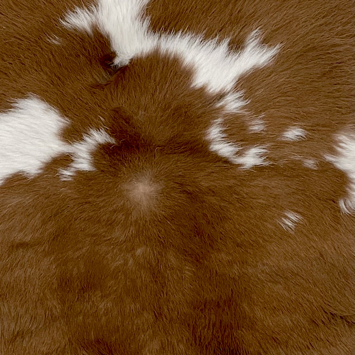 Closeup of this Brown and White Calfskin, showing brown with a few small, white spots (CALF624)