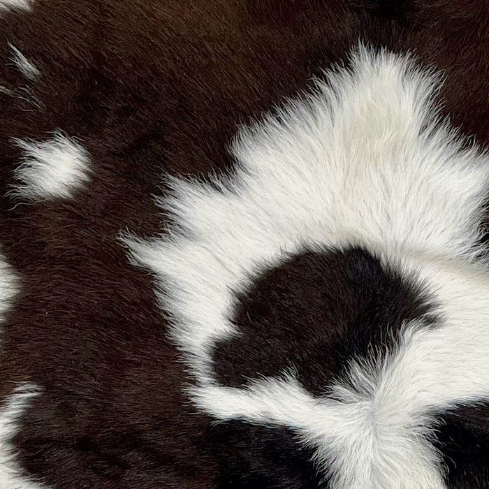 Closeup of this White and Dark Brown Calfskin, showing white with dark brown spots (CALF627)