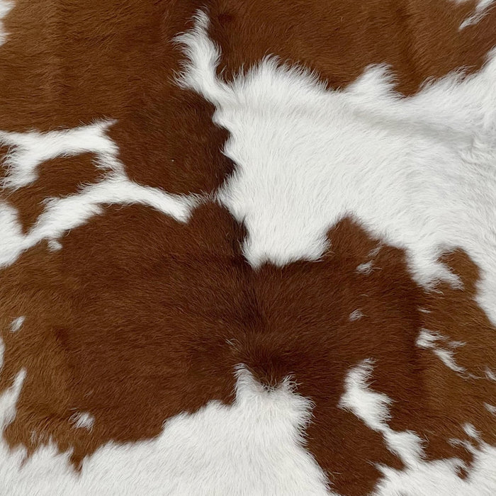 Closeup of this White and Brown Calfskin, showing white with large and small, brown spots  (CALF628)