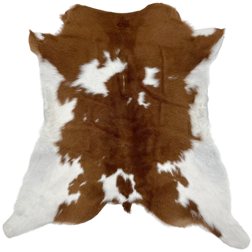 Brown and White Calfskin:  brown with a few white spots, and it has white on the belly and hind shanks - 3'2" x 2'10" (CALF629)