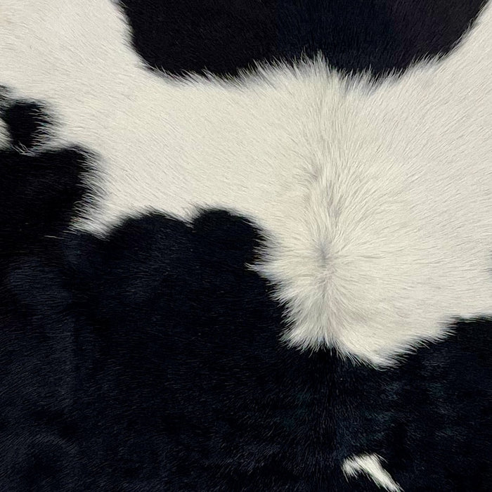 Closeup of this Calfskin, showing white with black spots (CALF633)