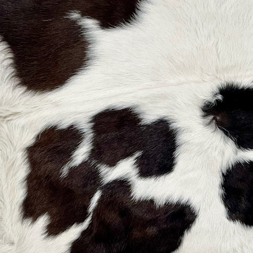 Closeup of this Calfskin, showing off-white with dark brown spots (CALF646)