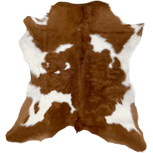 Brown and White Calfskin:  mostly brown, with a few white spots, and it has white on the belly and part of the shanks - 2'10" x 2'6" (CALF662)