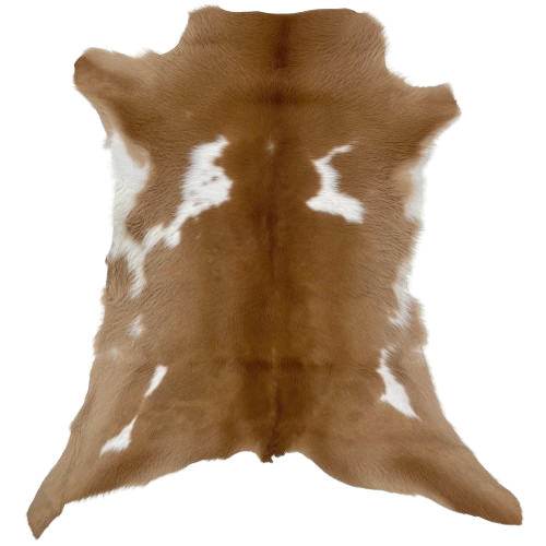 Brown and White Calfskin:  brown with a few small, white spots - 2'11" x 2'4"  (CALF666)