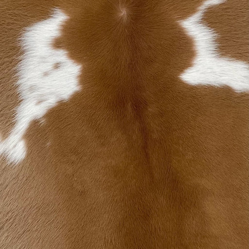 Closeup of this Brown and White Calfskin, showing brown with a few small, white spots (CALF666)