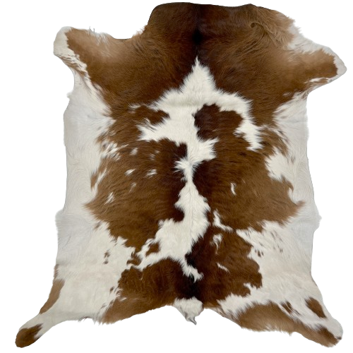 Brown and White Calfskin:  white with large and small brown spots, with the shoulder being mostly brown, the belly being white, and brown spots down the back - 2'11" x 2'9" (CALF667)