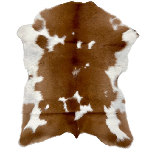 Brown and White Calfskin:  brown with small and large, white spots, and it has white on most of the belly - 3'8" x 3'2" (CALF669)