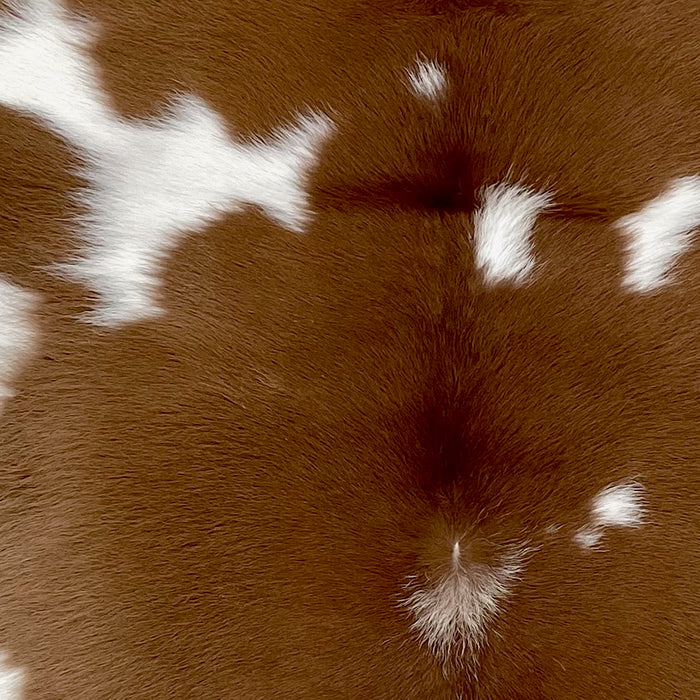 Closeup of this Brown and White Calfskin, showing brown with small and large, white spots (CALF669)