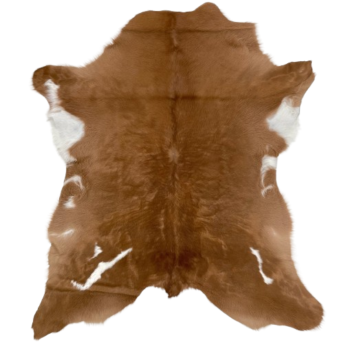 Brown and White Calfskin:  mostly solid brown, with three small, white spots near the hind shanks, and a few small, white spots on the belly- 3'8" x 3'2" (CALF671)