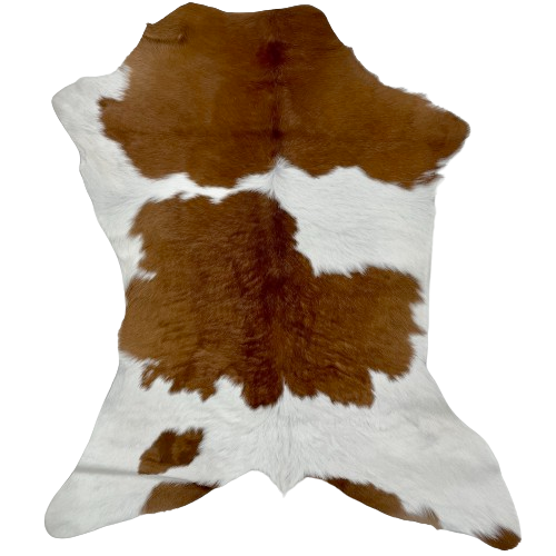 Brown and White Calfskin:  white with brown across the shoulder, a large, brown spot across the middle, and smaller, brown spots on the butt and hind shanks - 3'1" x 2'7"(CALF672)