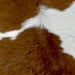 Closeup of this Calfskin, showing white with brown across the shoulder, and a large, brown spot across the middle (CALF672)