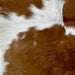 Closeup of this Calfskin, showing white with large and small, brown spots (CALF675)