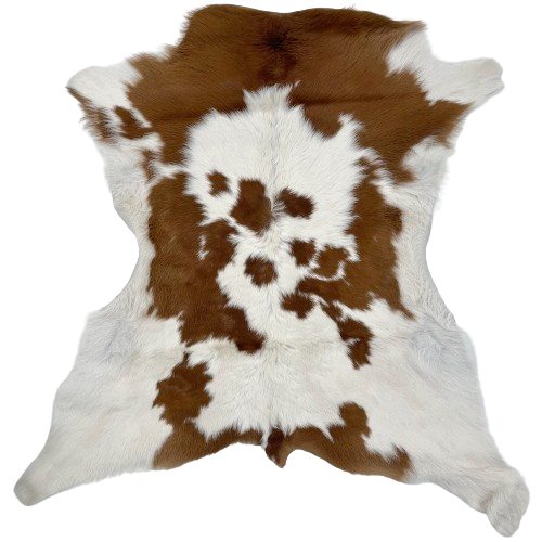 Brown and White Calfskin:  white with brown across the shoulder, and smal and large, brown spots on the back and butt - 2'9" x 2'7" (CALF676)