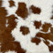 Closeup of this Calfskin, showing white with small and large, brown spots on the back (CALF676)