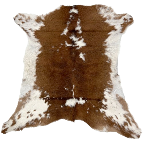 Brown and White Calfskin:  brown down the middle, with a few small, white spots, and white with small, brown spots on the belly and shanks - 3' x 2'11" (CALF677)
