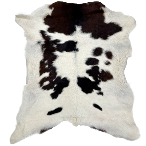 White and Brownish Black Calfskin:  white with large and small, black spots, some having hints of brown - 3' x 2'10" (CALF679)
