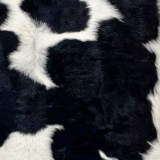 Closeup of this Calfskin, showing white with large, black spots (CALF680)