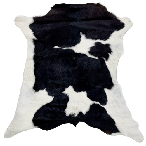 Black and White Calfskin:  white with large, black spots down the middle, and white on the belly and shanks - 3' x 2'9" (CALF682)