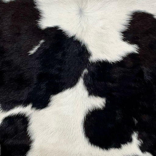 Closeup of this Calfskin, showing white with large and small, black spots (CALF683)