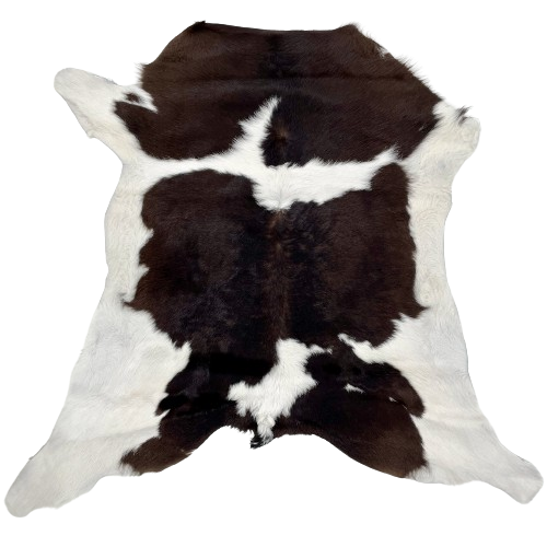 White and Brownish Black Calfskin:  white with large brownish black spots down the middle, and white on the belly and shanks - 2'8" x 2'7" (CALF684)