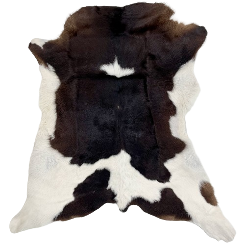 Blackish Brown and White Calfskin:  blackish brown with a small, white spot in the middle of the shoulder, a white strip across the lower part of the back, white on the belly and hind shanks, and blackish brown spots on the butt - 3'3" x 2'9" (CALF686)