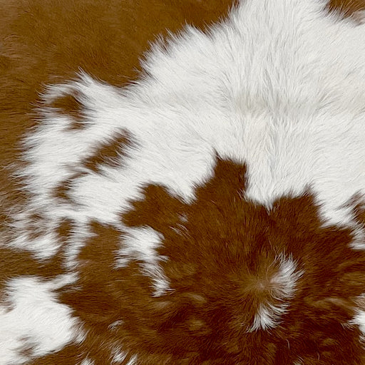 Closeup of this Calfskin, showing white with large and small, brown spots (CALF687)