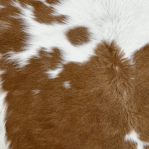Closeup of this Calfskin, showing white with large and small, brown spots (CALF690)