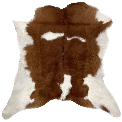 Brown and White Calfskin:  brown, with three white spots down the middle, and white on part of the belly and shanks - 2'10" x 2'9" (CALF693)