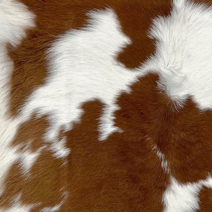 Closeup of this Calfskin, showing white with large and small, brown spots (CALF694)