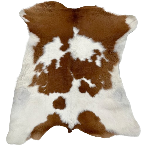 Brown and White Calfskin:  white with large and small, brown spots - 3'3" x 2'10" (CALF694)