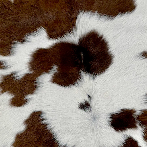 Closeup of this Calfskin, showing white with brown spots (CALF697)