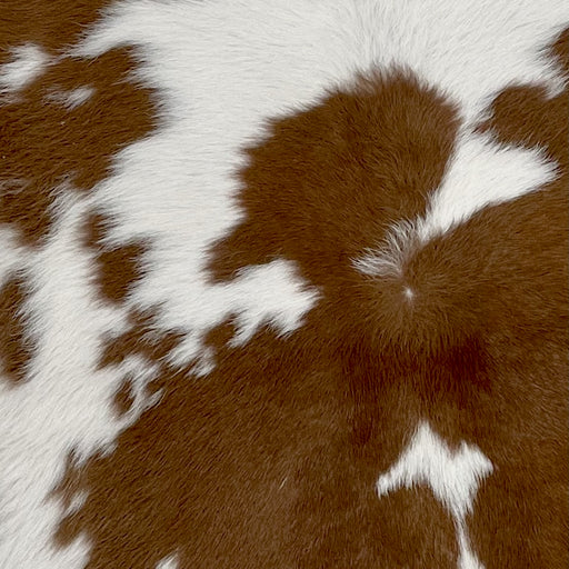 Closeup of this Calfskin, showing white with large and small, brown spots (CALF698)