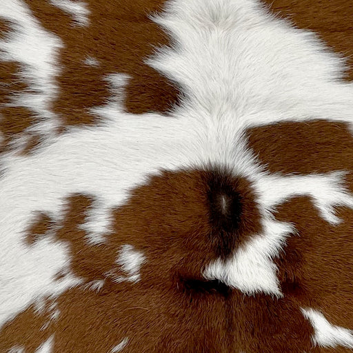 Closeup of this Calfskin, showing white with brown spots (CALF700)