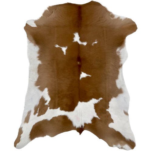 Brown and White Calfskin:  brown with a few white spots, and it has white on the belly and part of the hind shanks - 3'6" x 2'9" (CALF701)