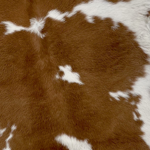 Closeup of this Calfskin, showing brown with white spots, and white on the belly (CALF702)