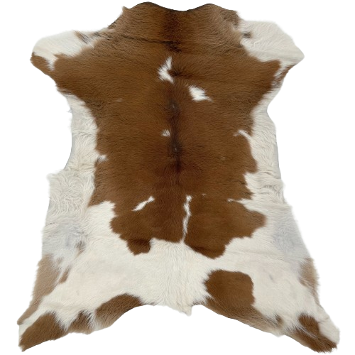 Brown and Off-White Calfskin:  brown, with a few small, white spots on the back, off-white on the belly and shanks, and brown spots on the butt and hind shanks - 2'10" x 2'5" (CALF703)
