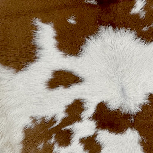 Closeup of this Calfskin, showing white with large and small, brown spots, and off-white on the belly (CALF704)