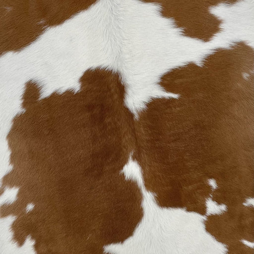 Closeup of this Calfskin, showing white with large, brown spots (CALF705)