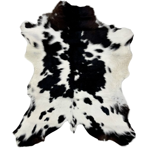 Black and White Calfskin:  white with large and small, black spots, and hints of dark brown on the shoulder, and it has off-white on the belly - 3'11" x 3'2" (CALF707)