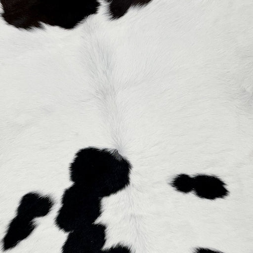 Closeup of this Calf skin, showing mostly white, with a few black spots (CALF709)
