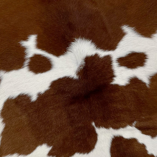 Closeup of this Calf skin, showing white with large and small, brown spots (CALF712)