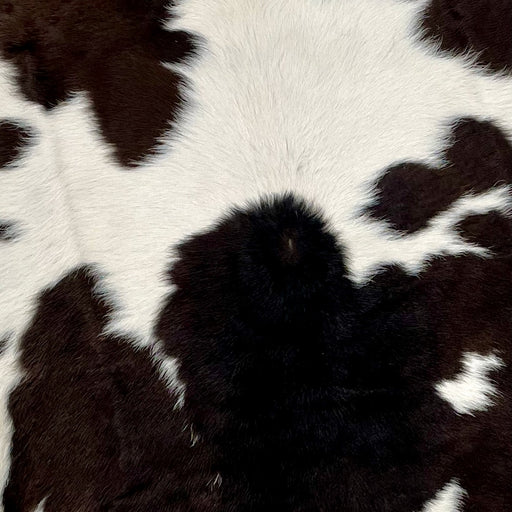 Closeup of this Calfskin, showing off-white with blackish brown and dark brown spots (CALF715)