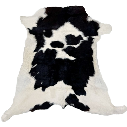 Black and Off-White Calfskin:  off-white with large and small, black spots - 3'4" x 2'11" (CALF716)