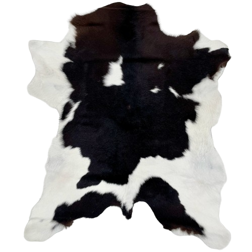 Black and White Calfskin:  white with large, black spots, and it has blackish brown on the shoulder - 3'7" x 3'2" (CALF717)