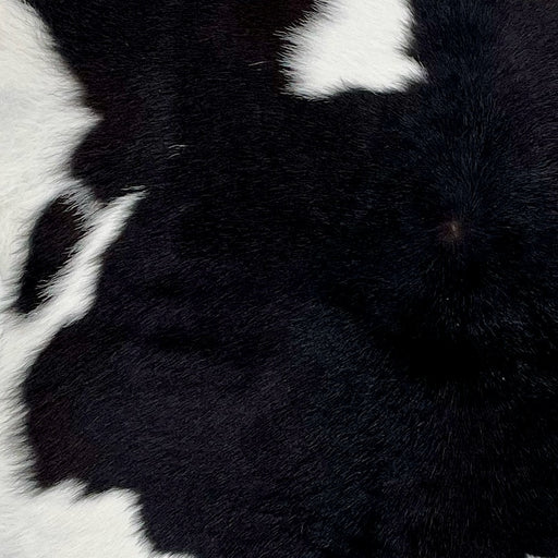 Closeup of this Calfskin, showing white with large, black spots (CALF717)