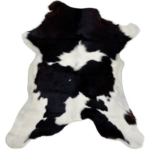 Black and White Calfskin:  white with large, black spots - 3'3" x 2'10" (CALF729)