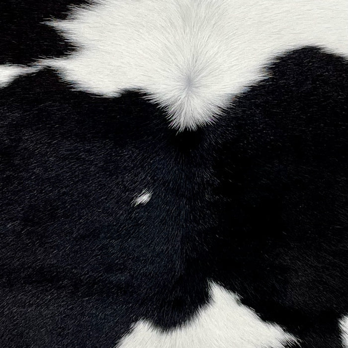 Closeup of this Calfskin, showing white with large, black spots (CALF729)