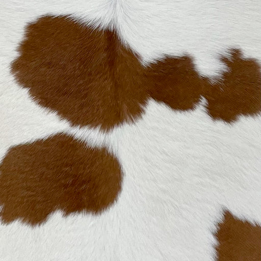 Closeup of this Calfskin, showing white with brown spots (CALF752)