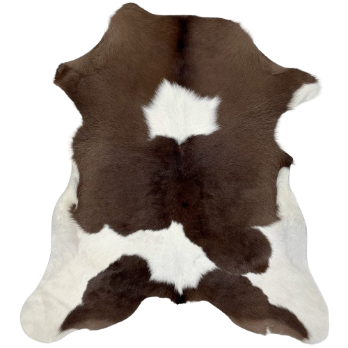 Chocolate and White Calfskin: chocolate with a large, white spot in the middle, a white strip across the butt, and white on the belly and hind shanks - 3'3" x 2'9" (CALF754)