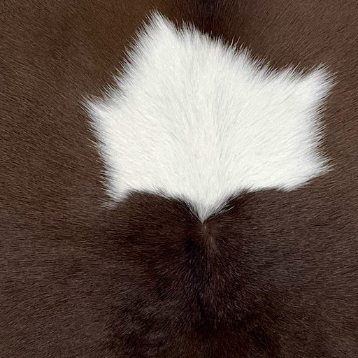 Closeup of this Calfskin, showing chocolate with a large, white spot in the middle (CALF754)